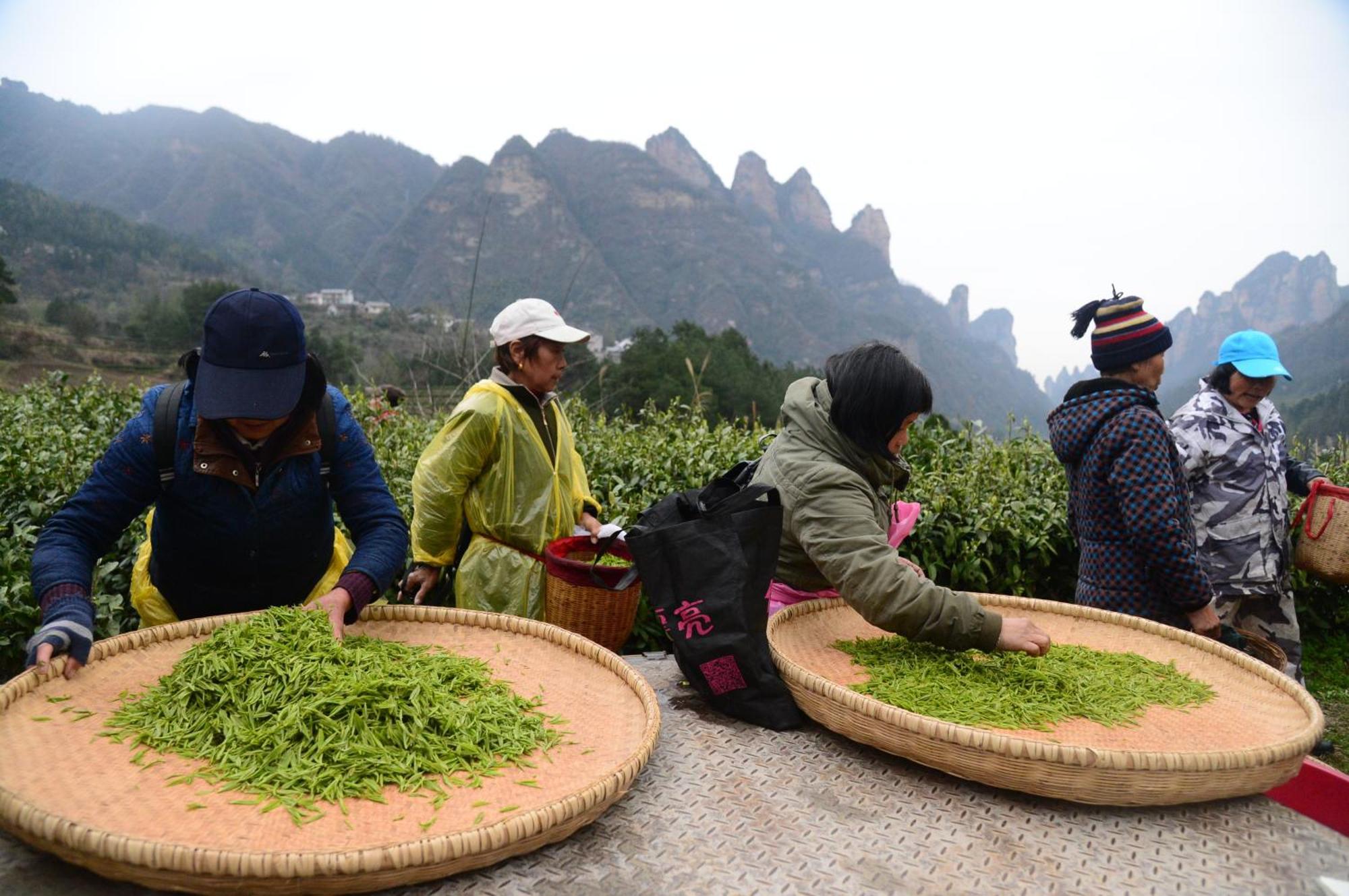 Breeze & Alley Inn--Tianmenshan Cableway-English Reception-Tourism Planing Zhangjiajie Zewnętrze zdjęcie